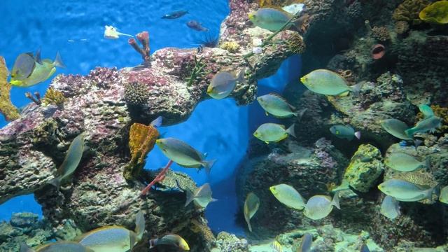 VID 20240316 185913 смотреть онлайн