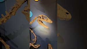 Поездка Ч 4. в Музей Истории Мироздания, Подмосковье🌎Таисия и Маргарита в эфире Ноябрь 2025 🥰