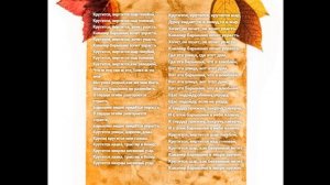 Крутится, вертится шар голубой _ Кавер _ Гитара _ Aria AK-45. 23.11.25.