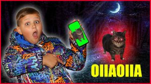 OIIA CAT в РЕАЛЬНОЙ ЖИЗНИ ГОНИТСЯ ЗА МНОЙ! ЗЛОЙ КОТ ОИИА!