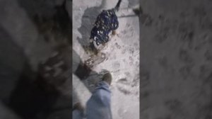 Влог с прогулочки🥰