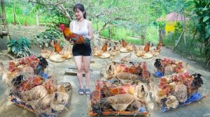 Соберите много куриного мяса после 6 месяцев выращивания. Продаю мясо на рынке.