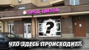 ЧТО ПРОИСХОДИТ В ЦВЕТОЧНЫХ МАГАЗИНАХ 8 МАРТА