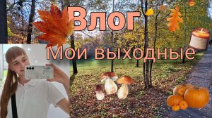 Мои выходные | Влог | Учёба, день рождения подруги, продуктивность