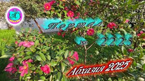 #Абхазия2025🌴 23.11.25г.🔥 Выпуск № 2224❗вчера +20°🌡ночью +12°🌡море +16,2°🐬