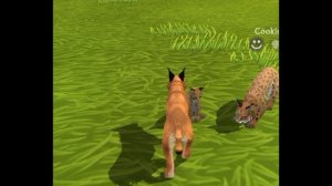 Мини фильм Wildcraft "Война между братом и сестрой" 4 серия