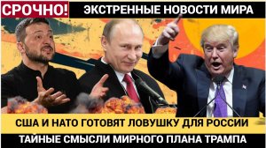 СЕНСАЦИЯ! Нападение на Россию через 3 года! В Мирном Плане Трампа нашлись тайные смыслы