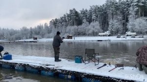 Запуск форели - 23.11