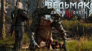 Сапожник без сапог:)►Ведьмак 3 #45