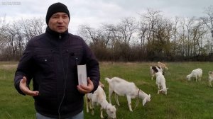 Почему нет успеха в христианской жизни?