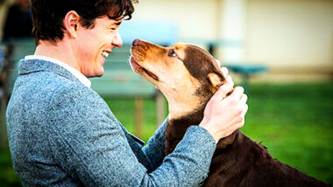 ТОП СЕМЕЙНЫХ ФИЛЬМОВ смотреть онлайн