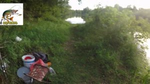 вместо карпа поймал осетра на платнике