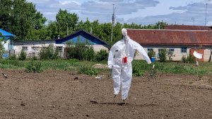 Огород с 01.09.2024 по 20.11.2025