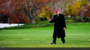 Bild узнала о желании Трампа достичь соглашения по Украине ко Дню благодарения