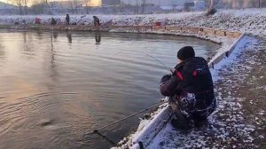 WhatsApp Video 2025-11-23 at 11.12.01