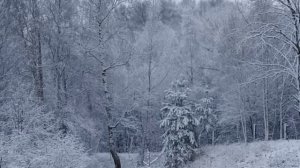 Белым снегом...