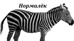 Нормалёк