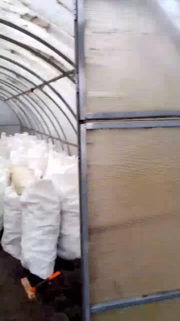 Теплая зимняя столовая для дачных кошек. И баня всегда открыта - можно погреться в морозы.