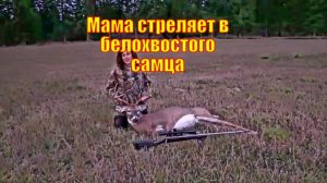 Мама стреляет в белохвостого самца с расстояния 600 ярдов