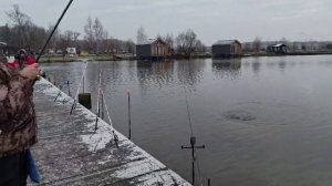 рыба2025-11-23 в 09.56.39_d6c4d963