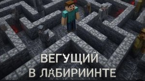 я узнал то что есть параллельная вселенная лабиринта