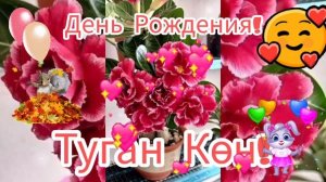 Туган Көн!День Рождения!Музыкальное поздравление!