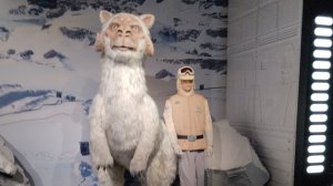 Косплей Звёздные войны на ВДНХ