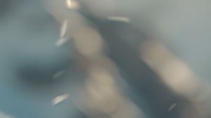 23 НОЯБРЯ 2025 | Резванов Д.Ш.