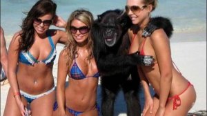 ✅ СМЕХОТЕРАПИЯ! ПРИКОЛЫ 2025 ДЛЯ НАСТОЯЩЕГО УГАРА! 😁