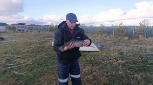 VID_20251123_160541_172