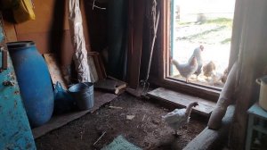 ДЕРЕВЕНСКИЕ БУДНИ🏡🍞🔥🍲🐔🐓