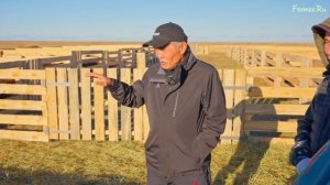 Эффект гетерозиса. Эдильбаевские овцы и мясные бараны импортной селекции. Мериноландшафт, дорпер.