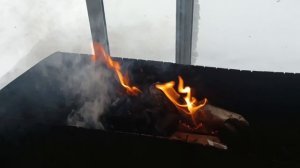 День нашей жизни