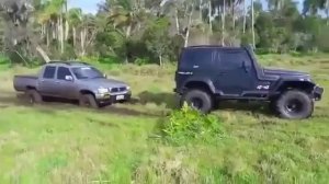 Принимает грязевую ванну 🛀