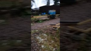 Защита от синиц!