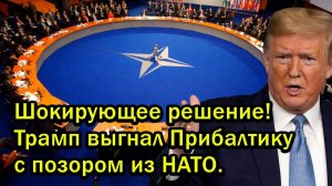 Шокирующее решение Трамп выгнал Прибалтику с позором из НАТО