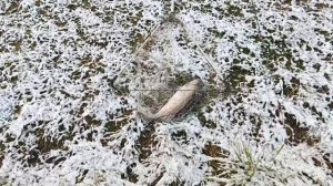 VID_20251123_104151_738