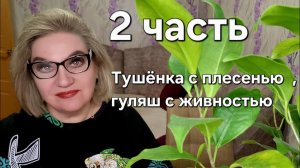 Тушёнка с плесенью, гуляш с живностью🤪❗️