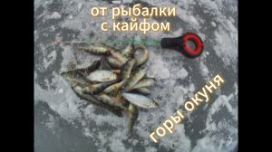 зимний жор окуней в первый лёд!!!!!!2024-2025