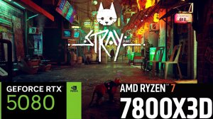 Stray | 2К - 1440p | RTX 5080 | AMD Ryzen 7 7800X3D | 32GB