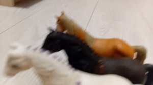 типы лошадей Шляйх ,Дарвин 🐎