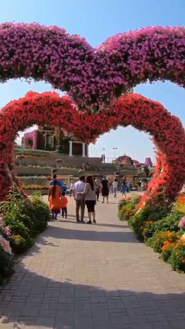 ОАЭ. Dubai Miracle Garden (Сад чудес или Парк цветов) смотреть онлайн