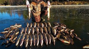 Невероятная рыбалка на водохранилище. Зимняя Рыбалка. Восточная Сибирь