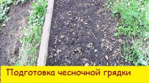 Подготовка  чесночной грядки