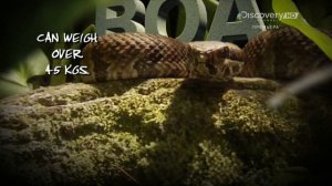 Голые и напуганные 3 сезон 9 серия (реалити-шоу, 2014)