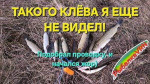 [2025]Рыбалка на спиннинг в ноябре 4