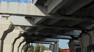 СОЧИ ноябрь 2025