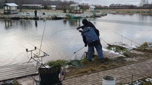 VID_20251123_121537_178