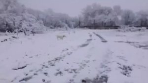 ВЛОГ ПОЧЕМУ наша кошка НАЕЛАСЬ РЕЗИНОК для волос / Почем фрукты и овощи в Анапе ?