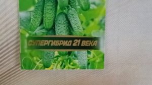 Огурец «Бабушкин секрет F1» — супергибрид 21 века с проверенным вкусом